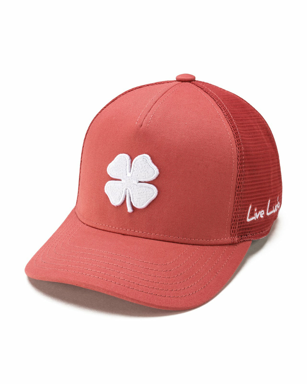 Desert Coral,SNAPBACK