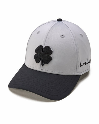 Silver 01,SNAPBACK