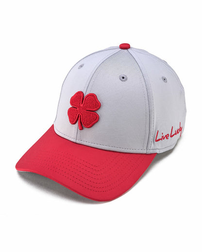 Silver 02,SNAPBACK